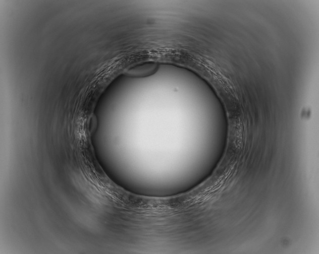 X0000100940770200807011244