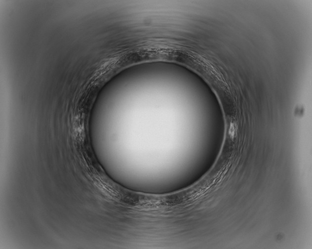 X0000100940771200807011244