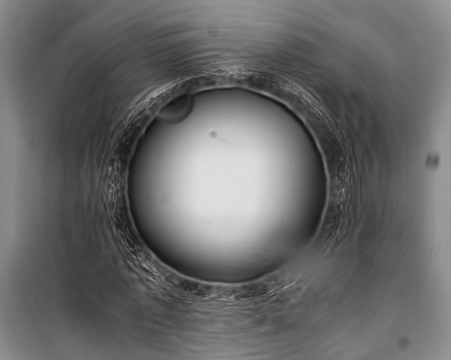 X0000100940773200807011244