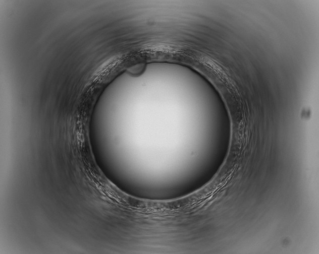 X0000100940774200807011244