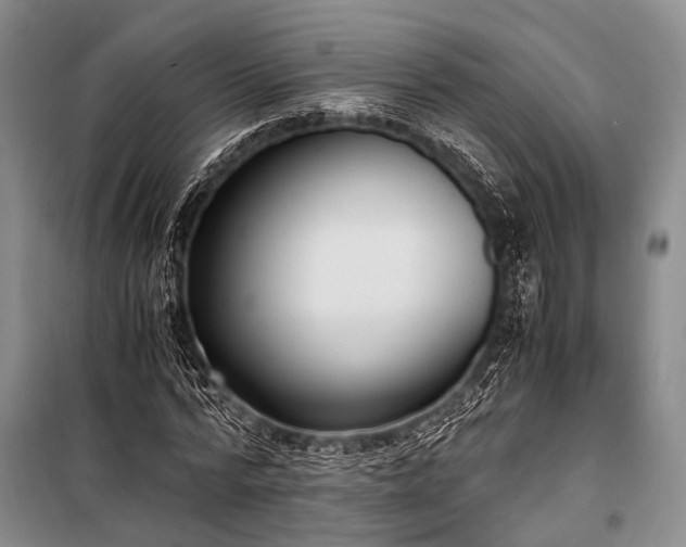 X0000100940776200807011244