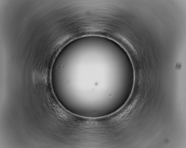 X0000100940777200807011244