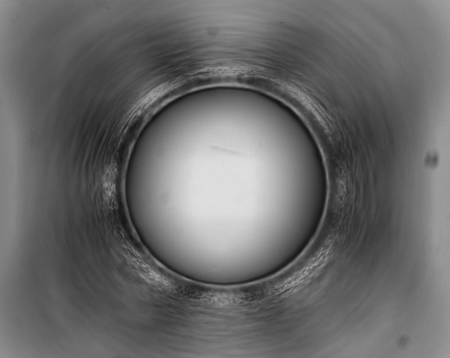 X0000100940778200807011244