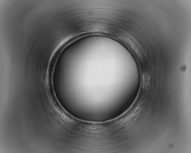 X0000100940780200807011244