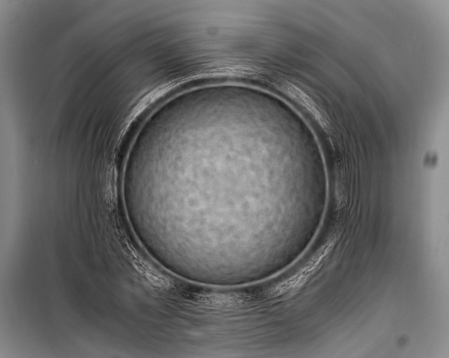 X0000100940781200807011244