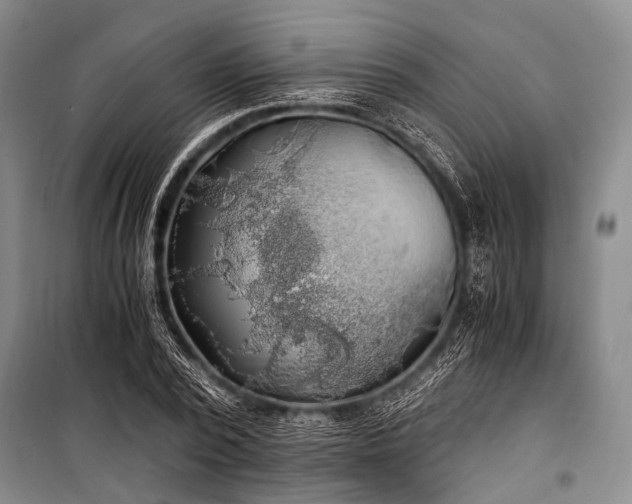 X0000100940784200807011244