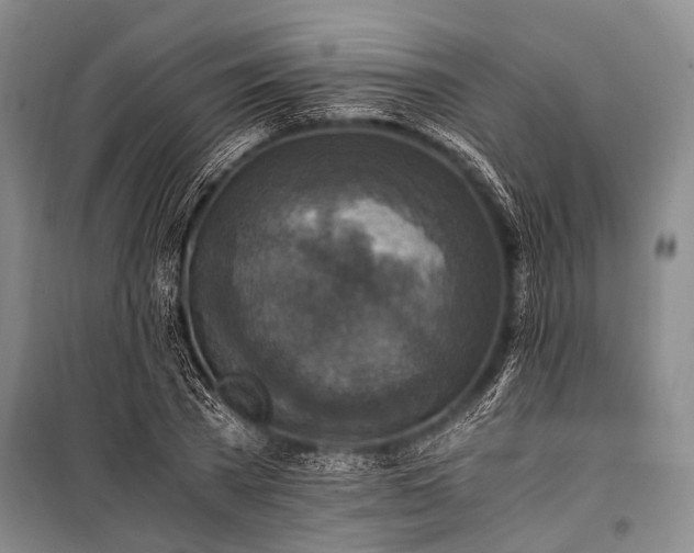 X0000100940785200807011244