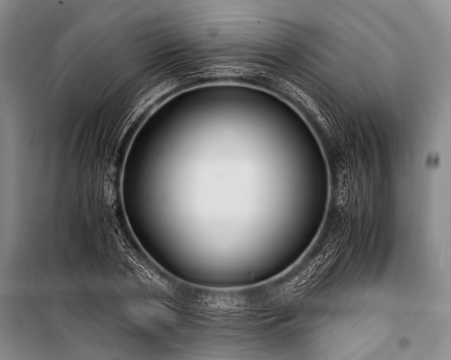 X0000100940786200807011244