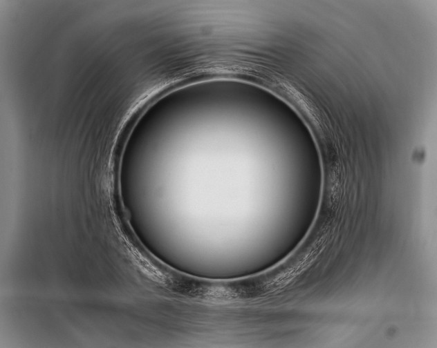 X0000100940787200807011244