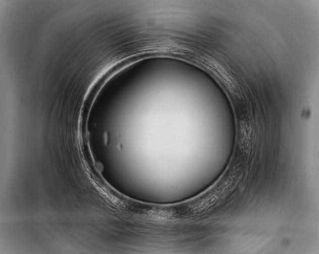 X0000100940788200807011244