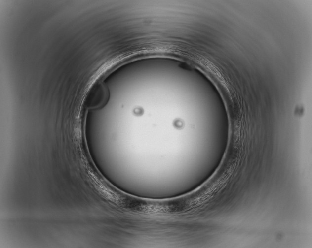 X0000100940789200807011244