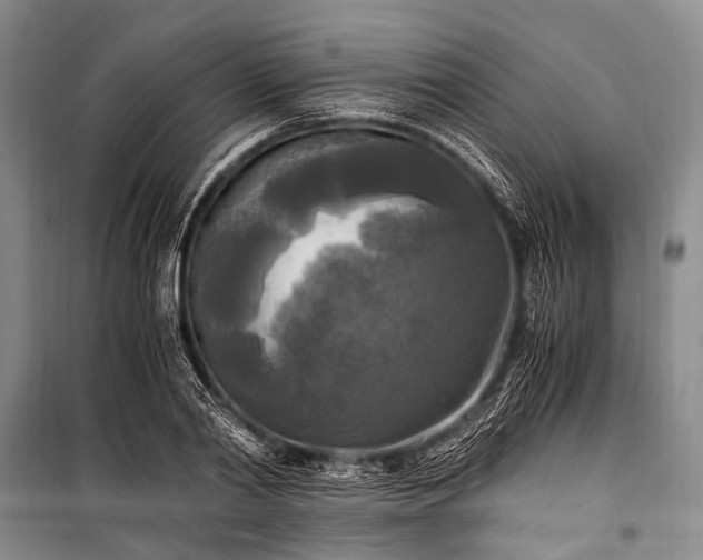 X0000100940790200807011244