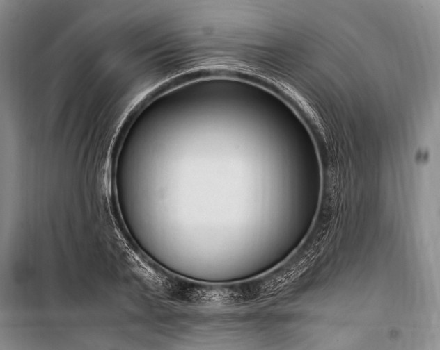 X0000100940791200807011244