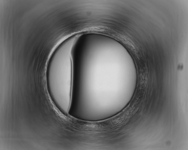 X0000100940792200807011244