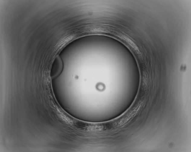 X0000100940793200807011244