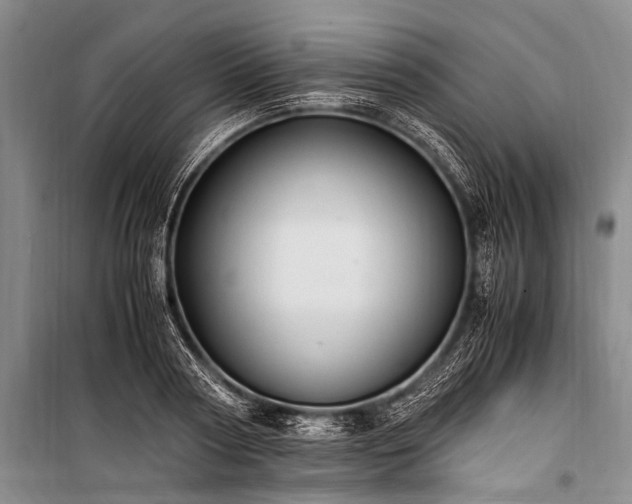 X0000100940794200807011244