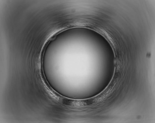 X0000100940795200807011244