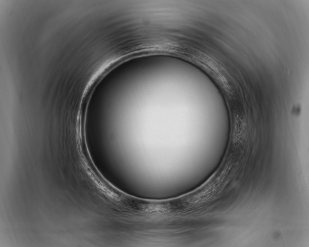 X0000100940796200807011244