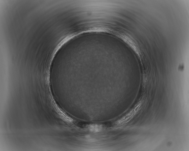 X0000100940797200807011244