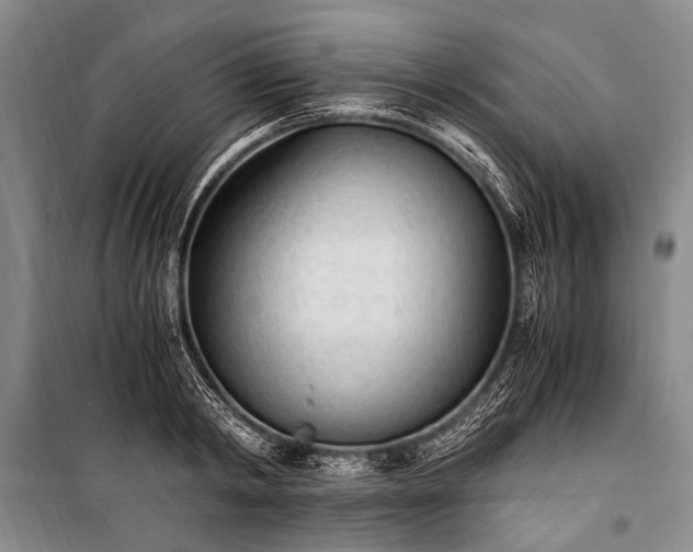 X0000100940798200807011244