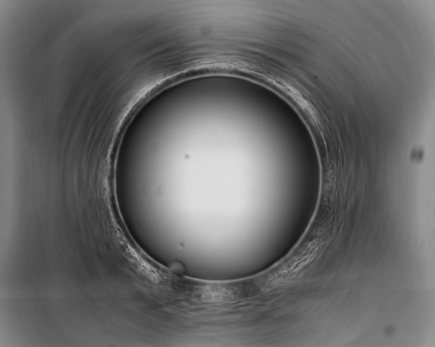 X0000100940799200807011244