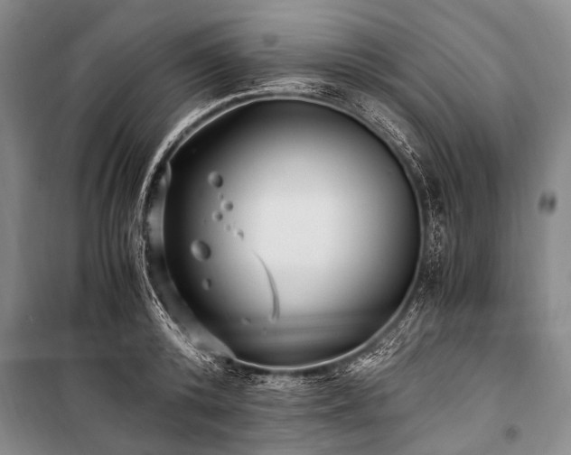 X0000100940800200807011244