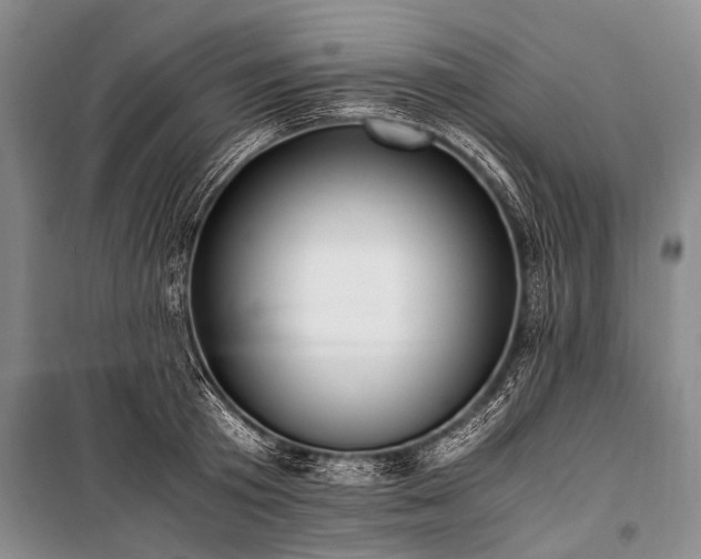 X0000100940801200807011244