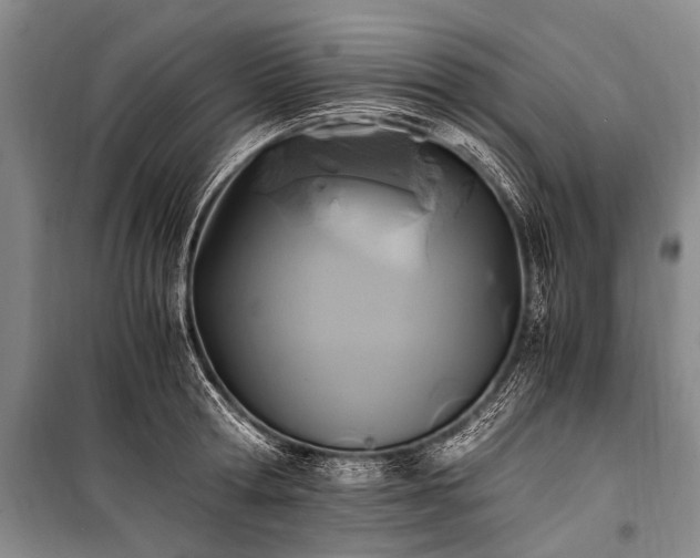 X0000100940802200807011244