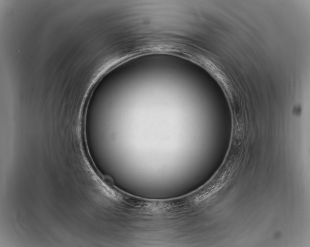 X0000100940803200807011244