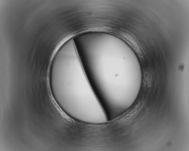 X0000100940804200807011244