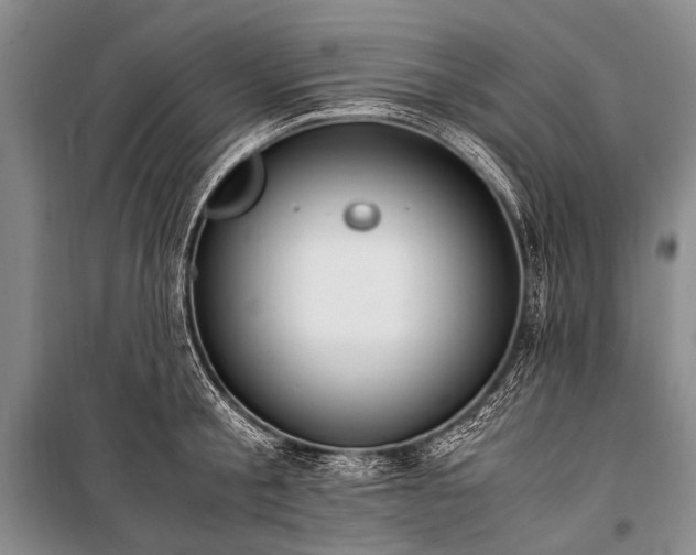 X0000100940805200807011243