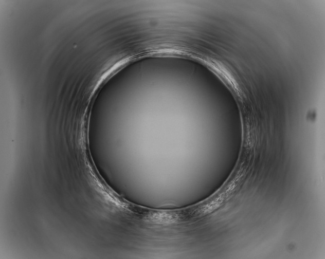 X0000100940806200807011243