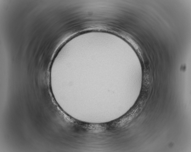 X0000100940807200807011243