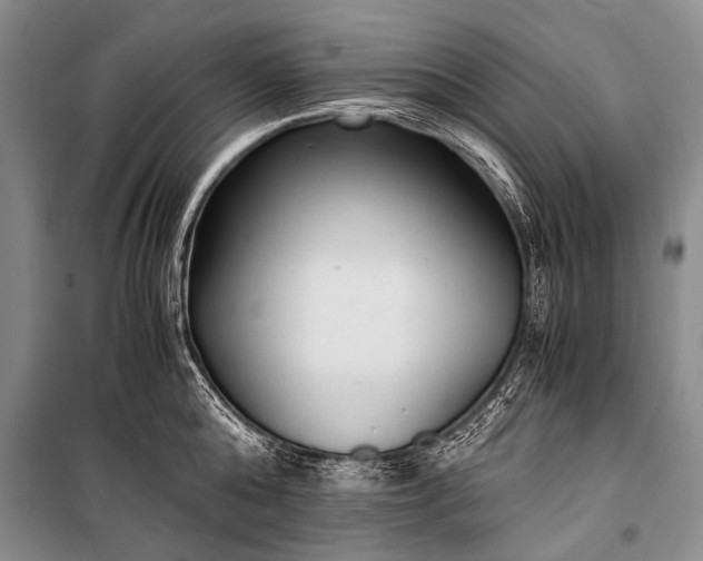 X0000100940808200807011243