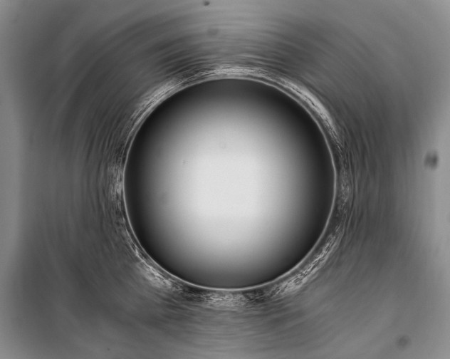 X0000100940809200807011243