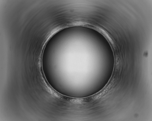 X0000100940810200807011243