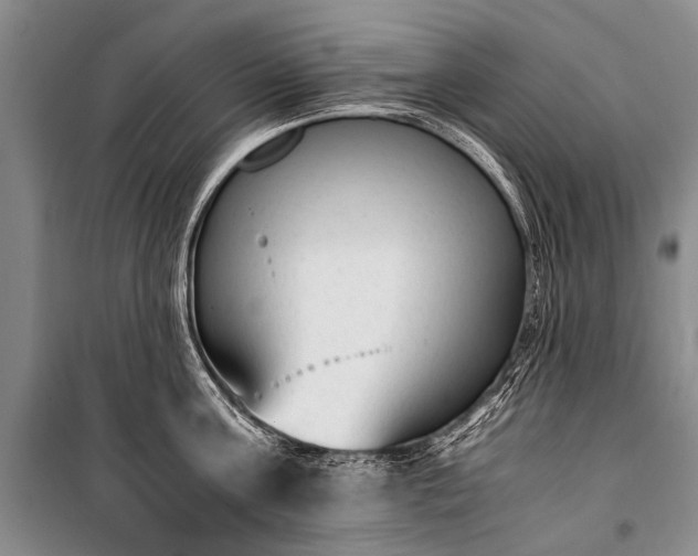 X0000100940811200807011243