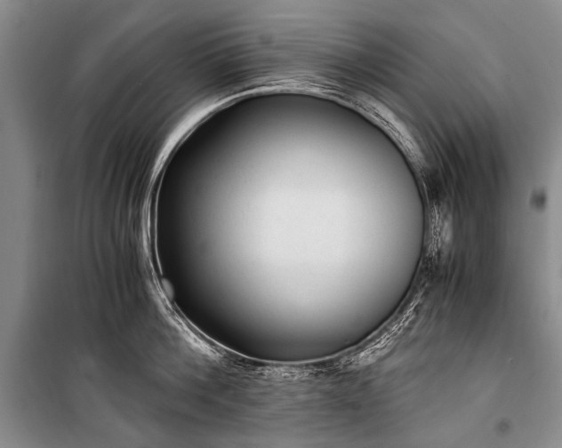 X0000100940812200807011243