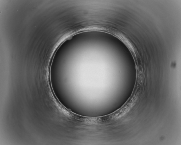 X0000100940813200807011243