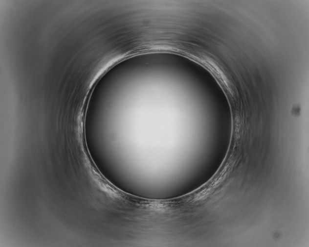 X0000100940814200807011243