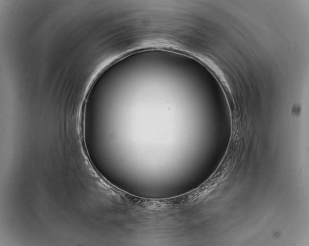 X0000100940815200807011243