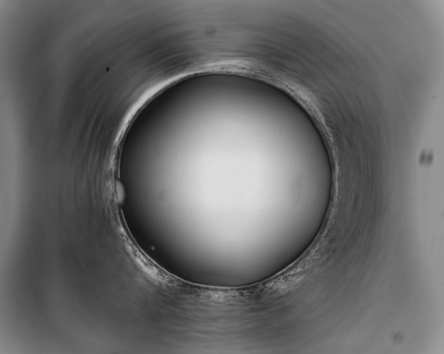 X0000100940816200807011243