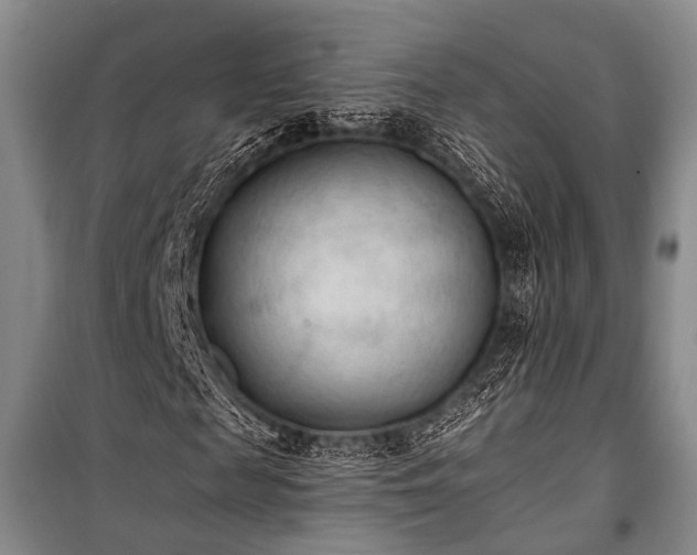 X0000100940817200807011243