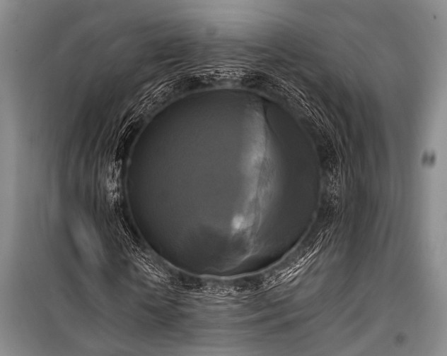 X0000100940818200807011243