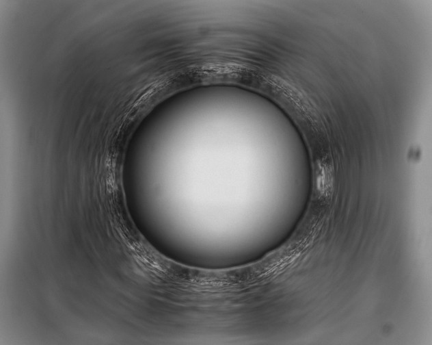 X0000100940819200807011243