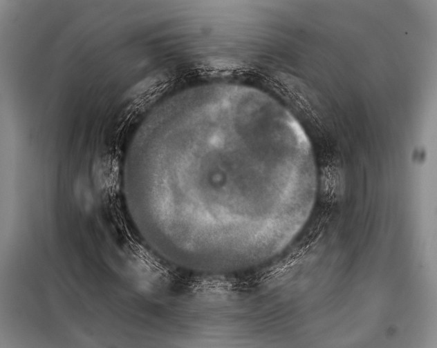 X0000100940820200807011243