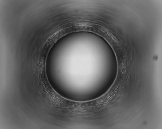 X0000100940821200807011243