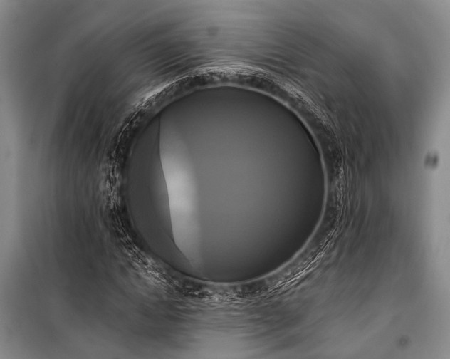 X0000100940822200807011243