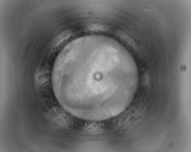 X0000100940824200807011243