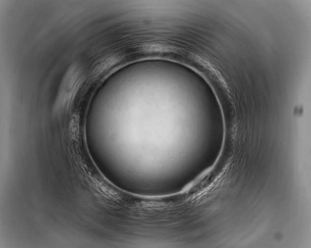 X0000100940825200807011243